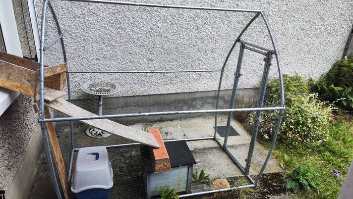 Chicken Cage