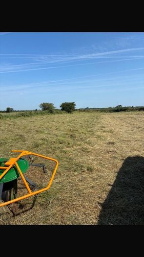 Hay for sale