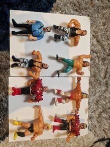 wwf hasbro bundle