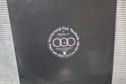 Paul van Dyk-VDT 12" promo  (binary finary 1998-Flaming Jane)