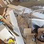 timber Image 3