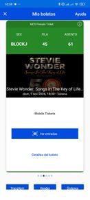 Stevie Wonder