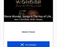 Stevie Wonder