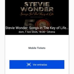 Stevie Wonder