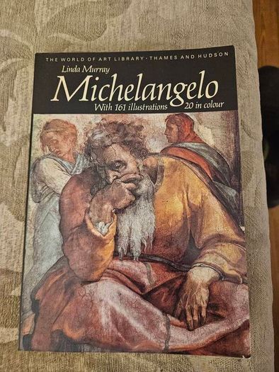 Michelangelo By Linda Murray. With 161 Illusions 20 In Colour. Paperback In Good Condition.  See Photos For Same.