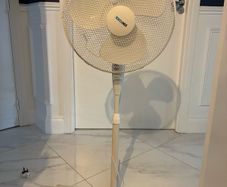 Fan