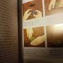 The Gardeners Handbook / Annuals & Bulbs /2010 Image 7