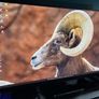 Gigabyte GS32Q 32in QHD 1440p 165hz Gaming Monitor Image 2