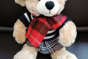 Teddy Bear