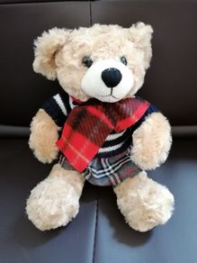 Teddy Bear
