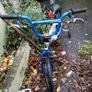 Two Bikes Image 3