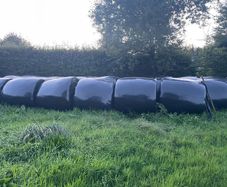 Silage Bales