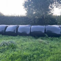 Silage Bales