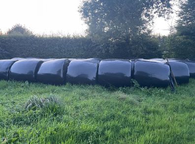 Silage Bales