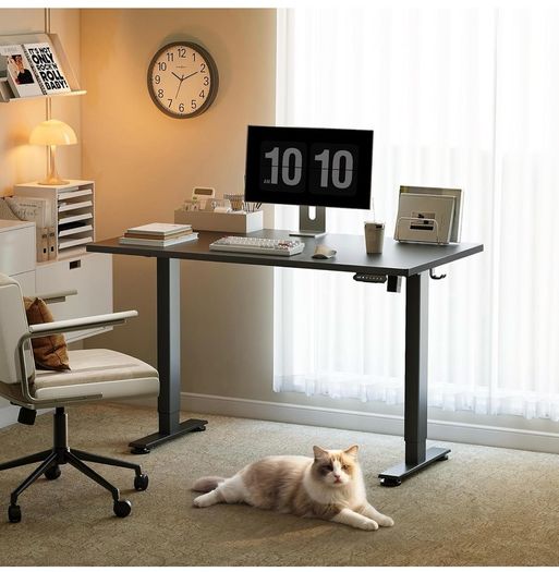 Electric Standing Desk, 120x60cm Height Adjustable Desk with 2 Memory Presets, Quiet Sit Stand Desk for Home Office Bedroom Living Room, Ergonomic Computer Desk with Hooks & Cable Holes, Black