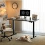 Electric Standing Desk, 120x60cm Height Adjustable Desk with 2 Memory Presets, Quiet Sit Stand Desk for Home Office Bedroom Living Room, Ergonomic Computer Desk with Hooks & Cable Holes, Black Image 6