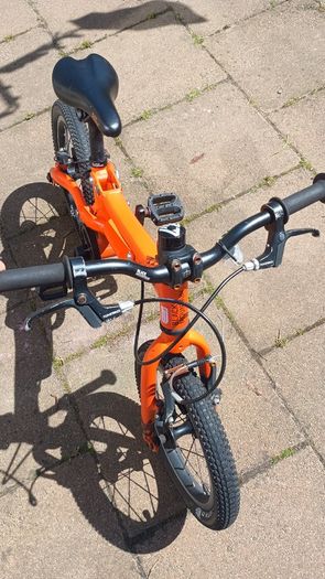 Black Mountain Pinto balance and pedal bike
