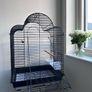 Black Bird/Parrot Cage Image 2