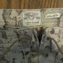 River Island size 12 snakeskin shorts Image 3