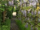 Garden services Image 8