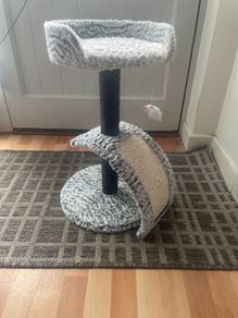 kitten scratching post