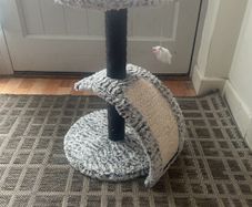 kitten scratching post