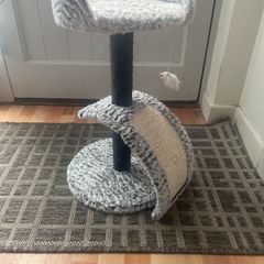 kitten scratching post