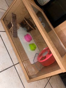animal box