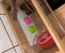 animal box