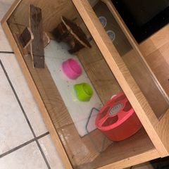 animal box