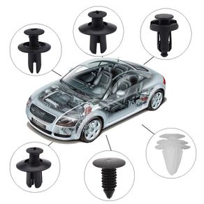 Auto Fastener Clip  F 100Pcs with Tool
