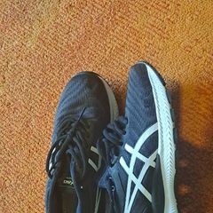 Asics Nimbus 22