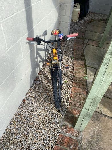 19" kids bike