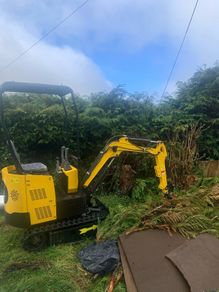 1 ton Colt mini digger