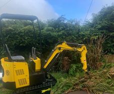 1 ton Colt mini digger