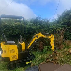 1 ton Colt mini digger