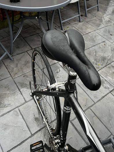 ridley triton