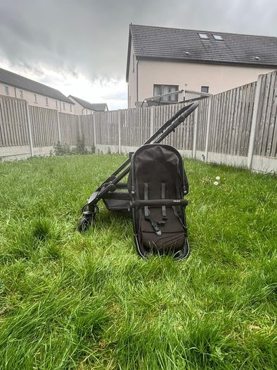 Buggy for sale