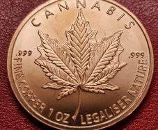 Copper 1 avdp oz 2024 Silver Shield