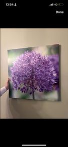 botanical art
