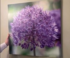 botanical art