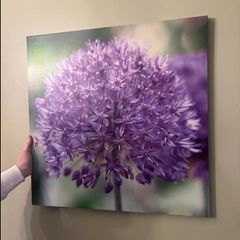 botanical art