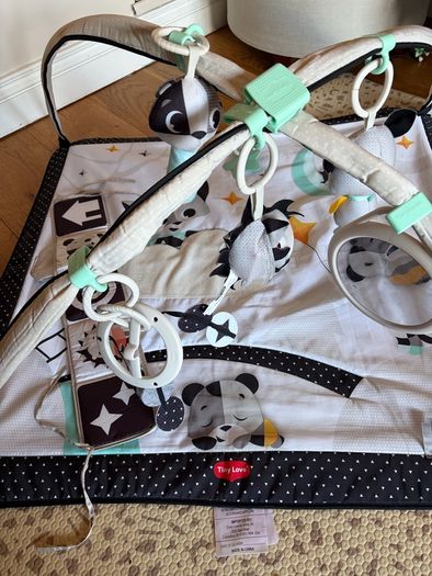 Tiny Love play gym