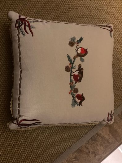 Robin Christmas cushion