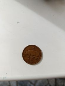 Coin
