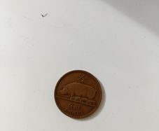 Coin