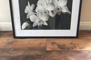 Picture 32x24