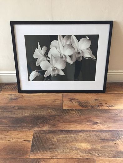 Picture 32x24