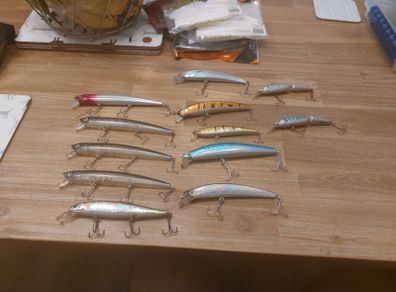 12 hard plastic lures