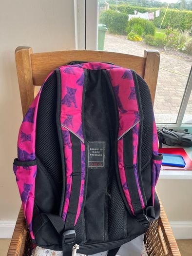 Ridge 53 Back Pack